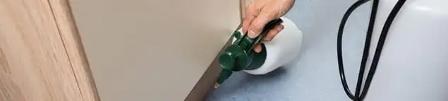 Bed bug exterminator treating baseboards and cracks with targeted spray in Orlando, FL