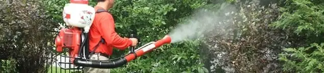 Mosquito control technician fogging shrubs and landscaping for mosquito treatment in Orlando, FL