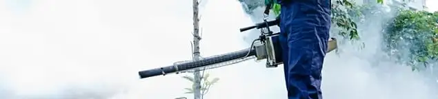 Pest control technician fogging an outdoor area for insect control in Orlando, FL