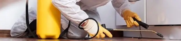 Roach exterminator treating cracks and crevices along kitchen baseboards in Orlando, FL