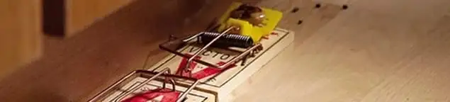 Rodent trap set indoors for rodent control and prevention in Orlando, FL