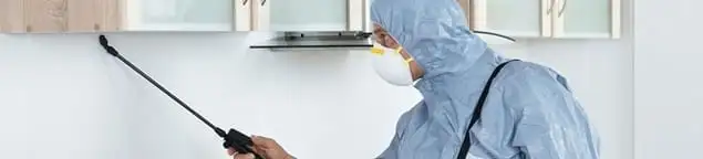 Termite treatment technician applying indoor pest control spray in Orlando, FL